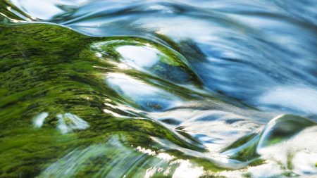 Minton, Treharne and Davies Industry Sector Environmental