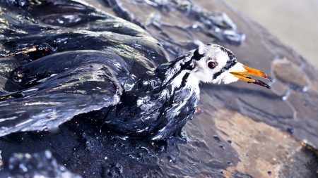 Minton, Treharne & Davies Environmental Analysis and Testing Services