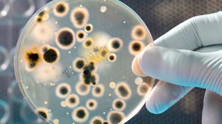 Minton, Treharne and Davies Our History Page Header